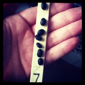 This was a homeschool project I came up with last year. It should have been cute. Instead, it looked like a rabbit did his business on popsicle sticks.