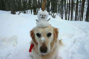 dog_w_snowman