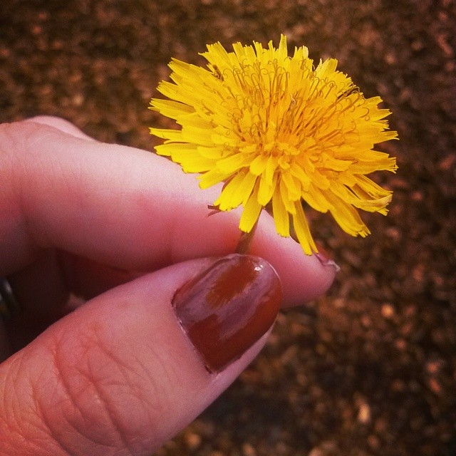 10431463_10152525006324788_6535392959422803721_n