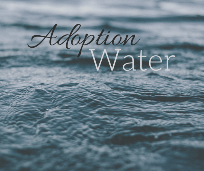 Adoption