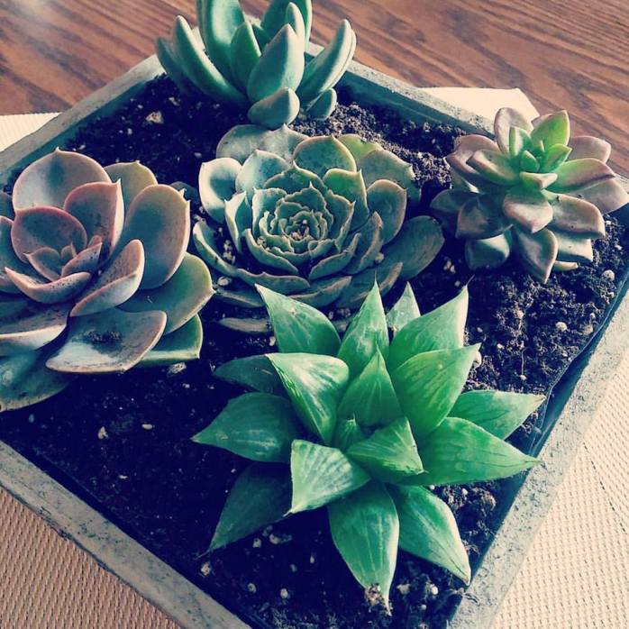 12243576_10153688112104788_8972577128633079219_n