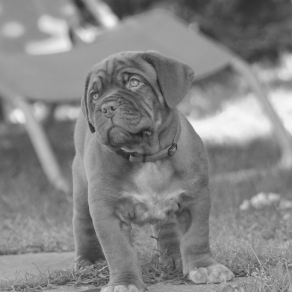 Untitled design (17)